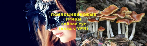 дживик Нефтекумск