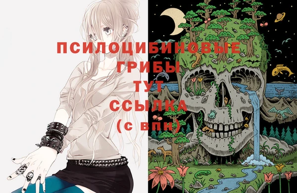 мдпв Надым