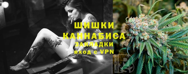 мдпв Надым