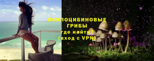 мдпв Надым