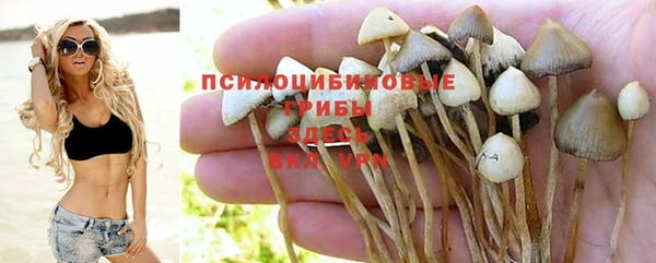 гашиш Нея